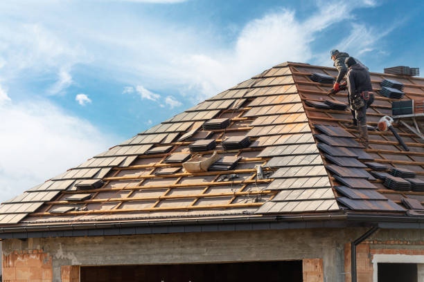 Best Roof Moss and Algae Removal  in Highland Springs, VA